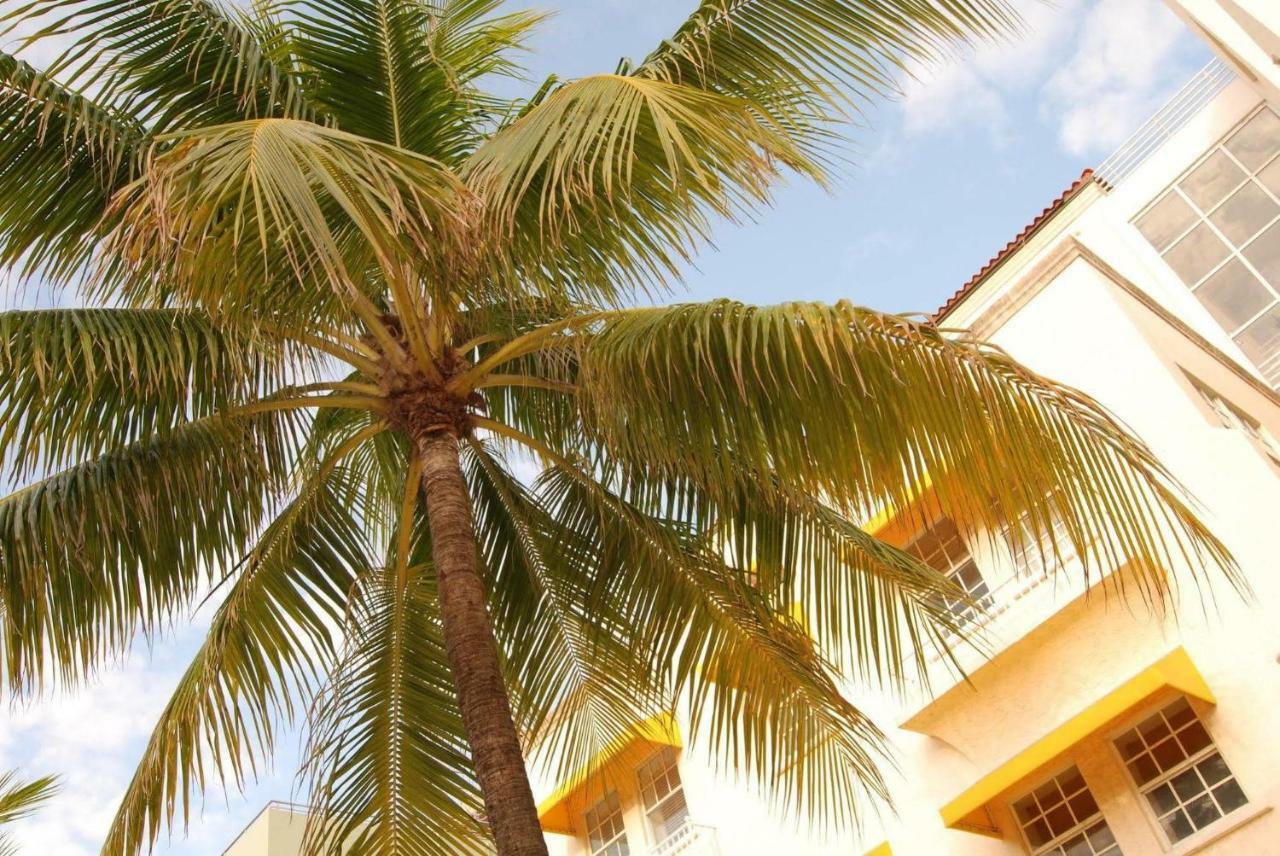 2 Bedroom Ocean Drive Newly Renovated Miami Beach Bagian luar foto